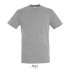 REGENT Uni T-Shirt 150g - grijs melange